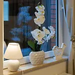 Gemuetliches Mit Kueche Und Terrasse Appartement Emden